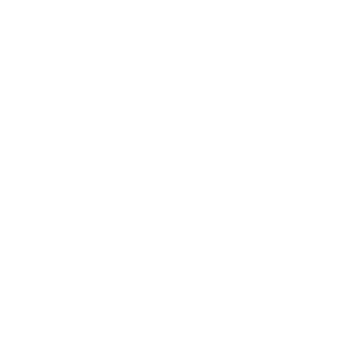 GMGI SOLUTIONS LTD